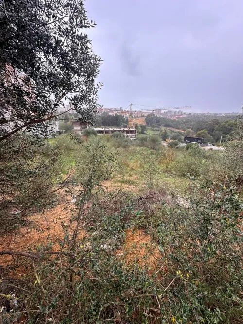 Vente Terrain Alger Draria