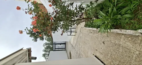 Location Villa Alger Bab ezzouar