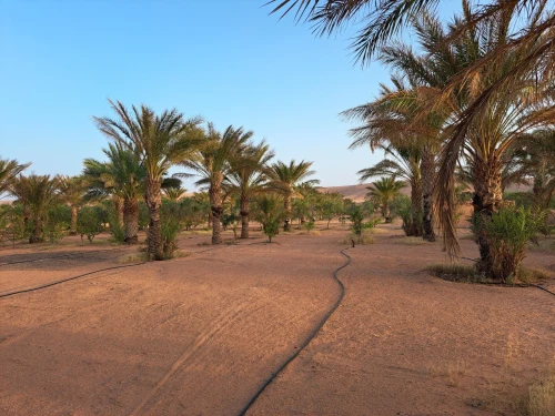 Vente bien immobilier Ghardaïa Dhayet bendhahoua
