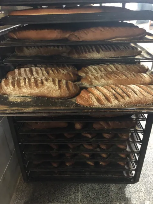 Four boulangerie rotatif