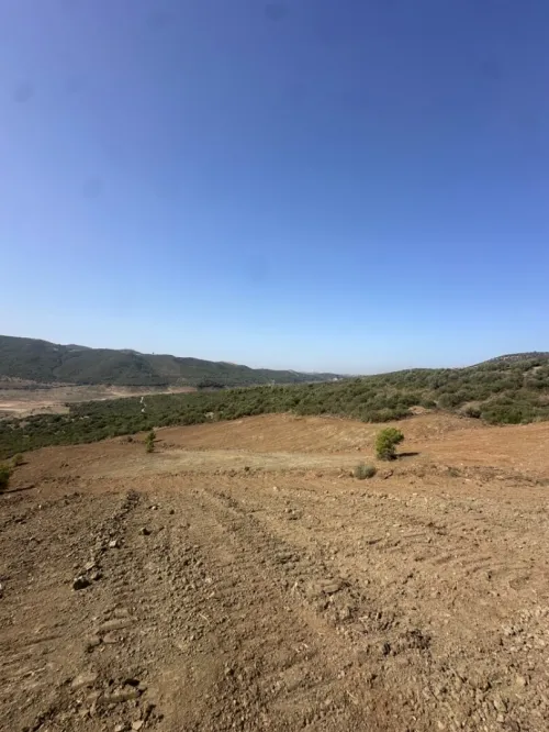 Vente Terrain Boumerdès Keddara