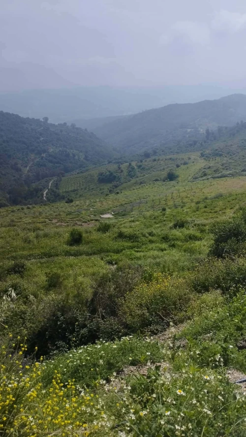 Vente Terrain Boumerdès Beni amrane