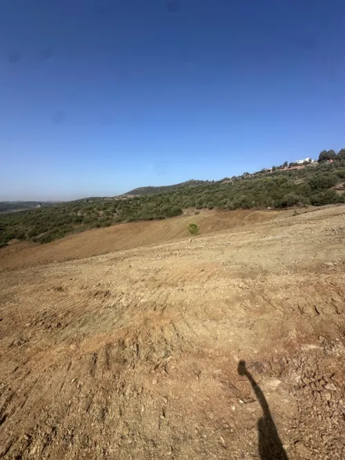 Vente Terrain Agricole Boumerdès Keddara