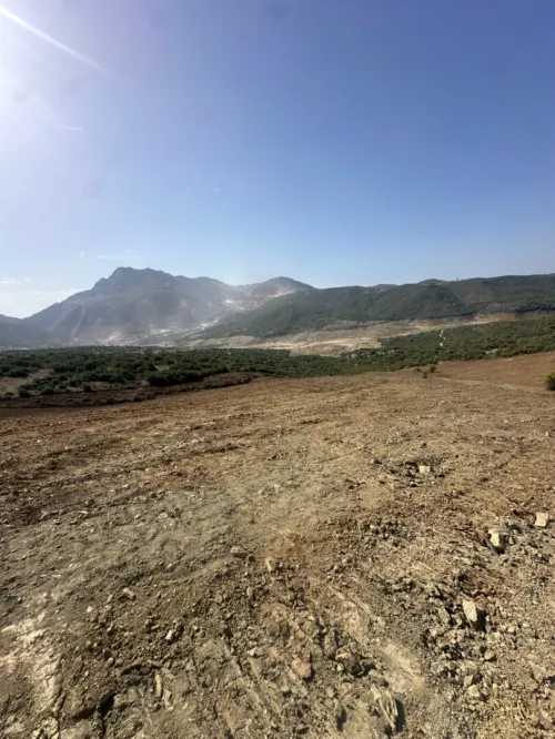 Vente Terrain Boumerdès Keddara