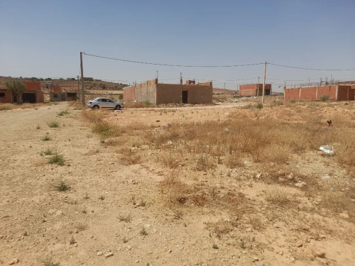 Vente Terrain Saïda Youb 7