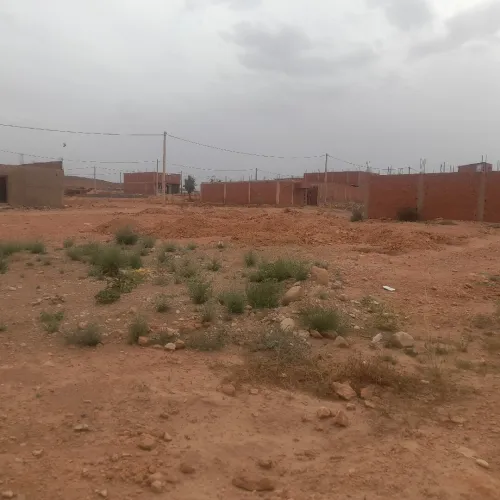 Vente Terrain Saïda Youb