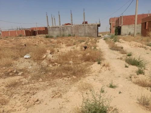 Vente Terrain Saïda Youb 5
