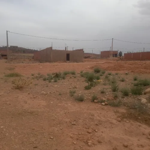 Vente Terrain Saïda Youb