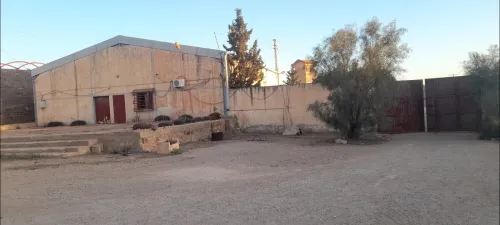 Location Hangar - Usine Saïda Saida