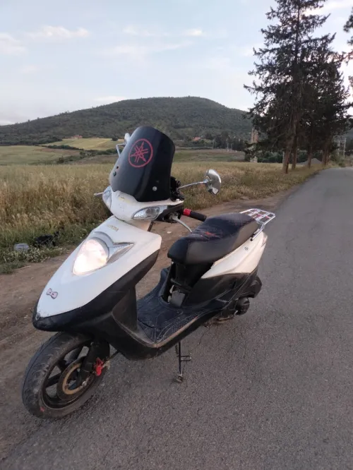 Honda Elite 2010