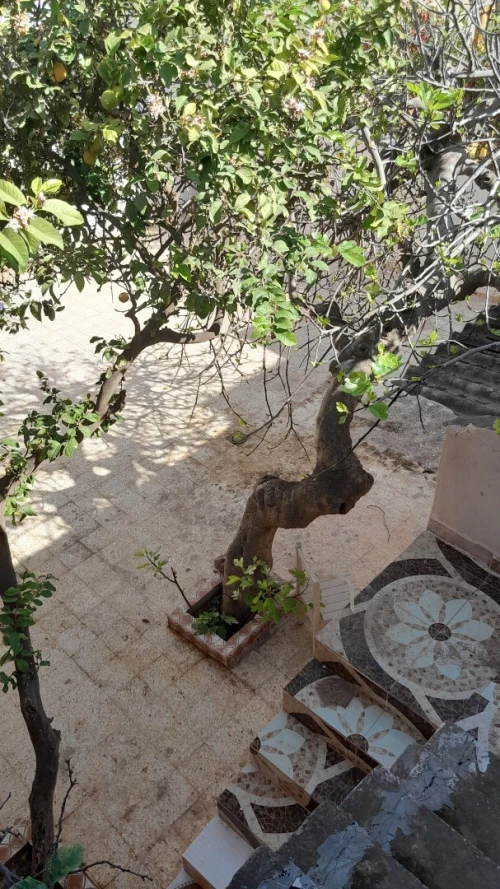 Vente Villa Oran Oran