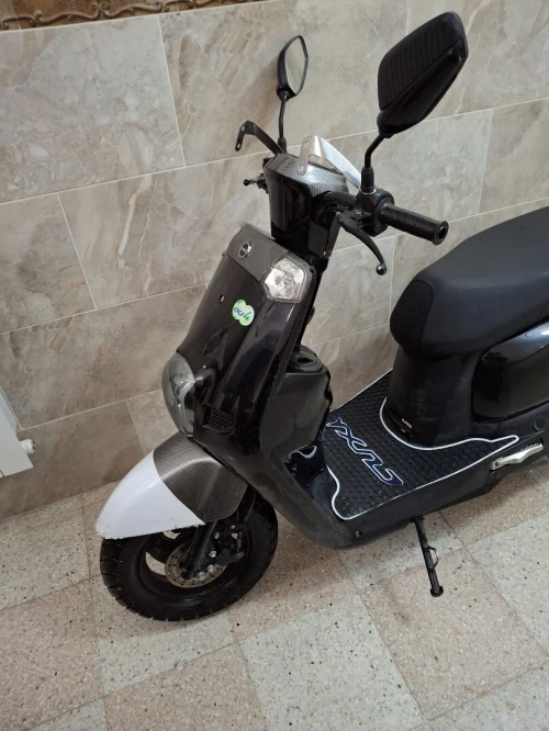 Cuxi Cuxi 2023