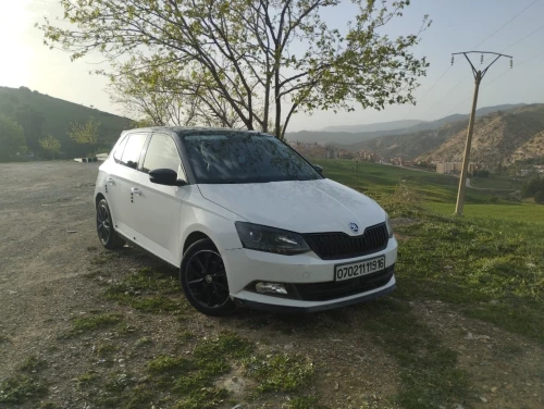 Skoda Fabia 2019 Monte Carlo