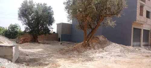 Vente Terrain Tlemcen Tlemcen