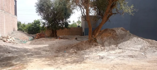 Vente Terrain Tlemcen Tlemcen