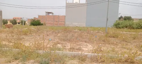 Vente Terrain Tlemcen Tlemcen