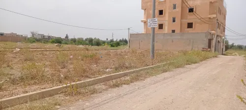 Vente Terrain Tlemcen Tlemcen
