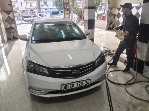 Emgrand EC 7 2020 Sedan 