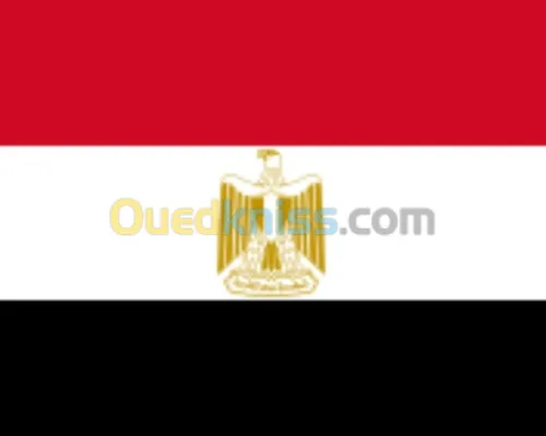 Visa egypt فيزا مصر 