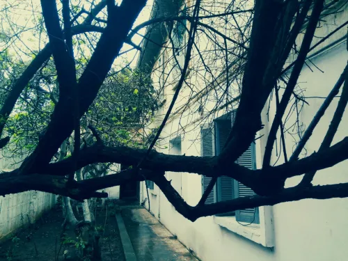 Vente Villa Alger Mohammadia