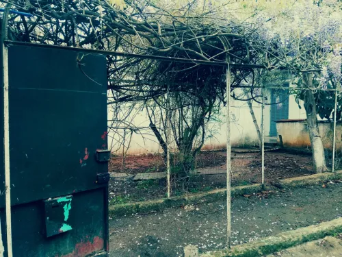Vente Villa Alger Mohammadia
