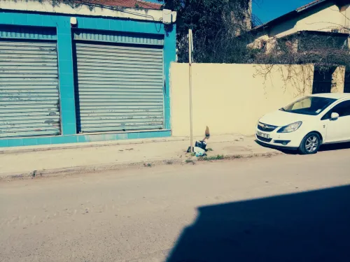 Vente Villa Alger Mohammadia