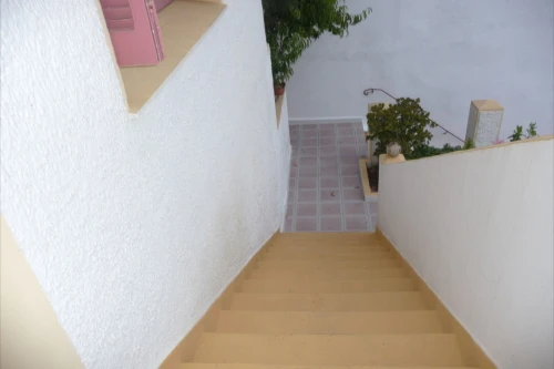Location Villa Alger El mouradia
