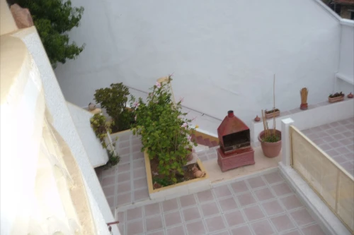 Location Villa Alger El mouradia