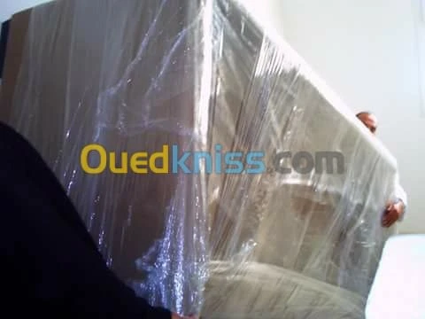DEMENAGEMENT TRANSPORT MANUTENTION*R