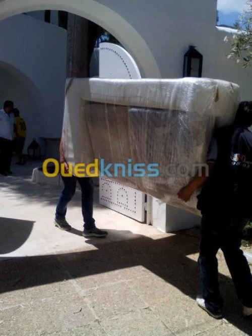 DEMENAGEMENT TRANSPORT MANUTENTION*R
