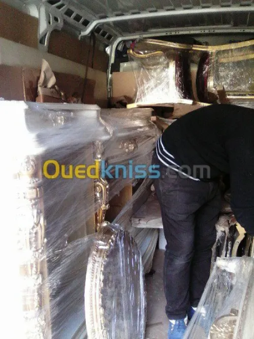 DEMENAGEMENT PARTICULIER ENTREPRISES--