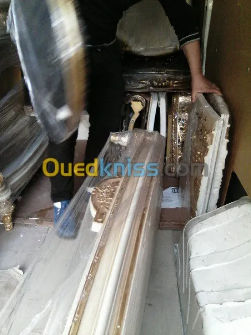 DEMENAGEMENT PARTICULIER ENTREPRISES--