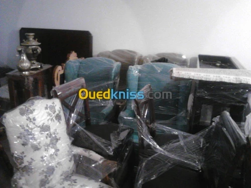 DEMENAGEMENT PARTICULIER ENTREPRISES--