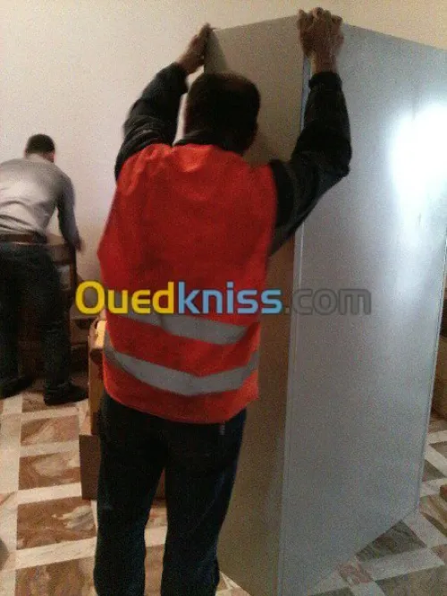 DEMENAGEMENT PARTICULIER ENTREPRISES--