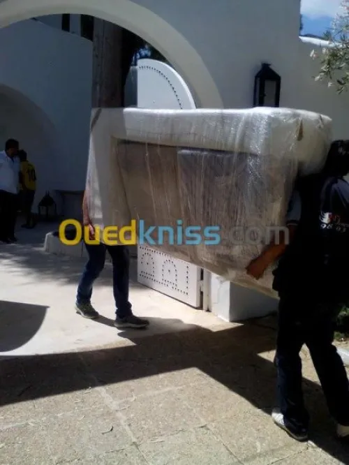 --- DEMENAGEMENT TRANSPORT MANUTENTION