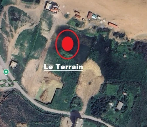 Vente Terrain Jijel Jijel