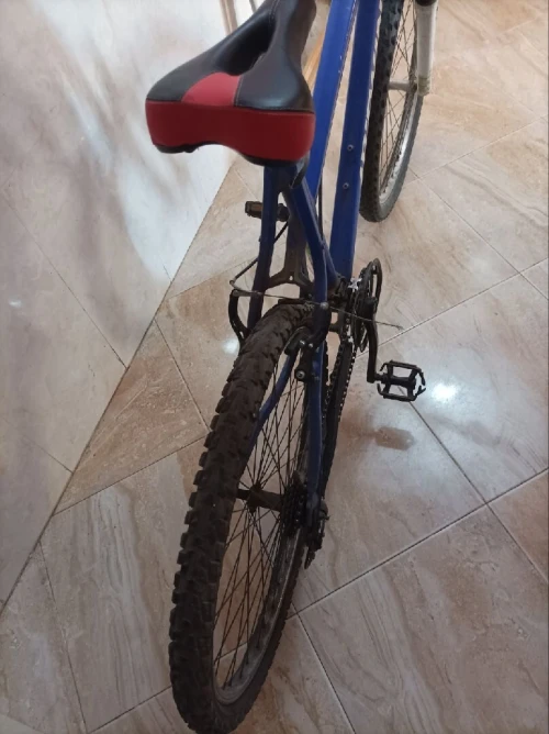 Betwin Velo 2020