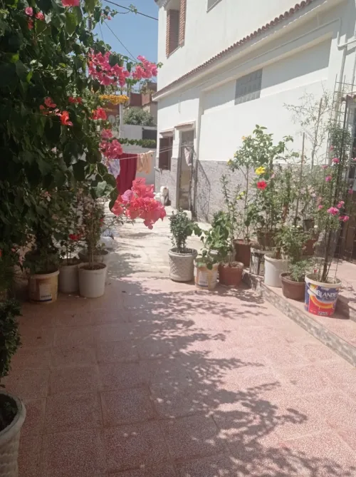 Vente Villa Blida Bouinan