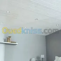 tous travaux de faux plafond