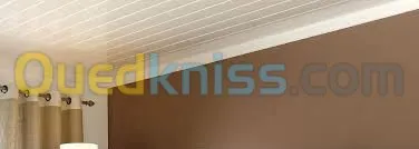 tous travaux de faux plafond