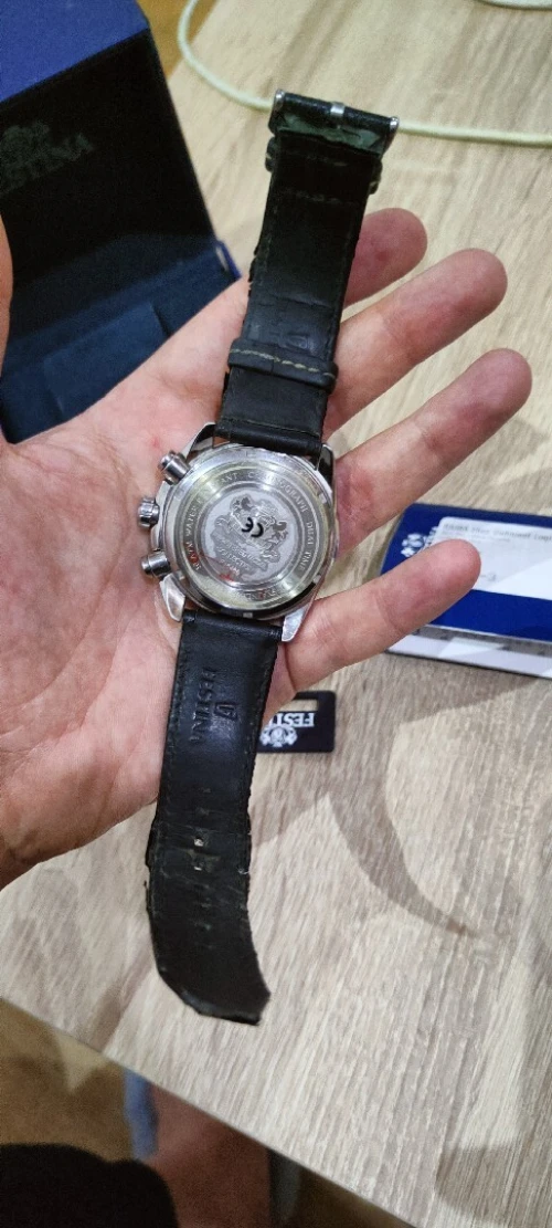Festina F16489-3