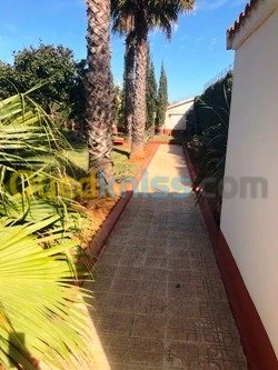 Location Villa Alger Hydra