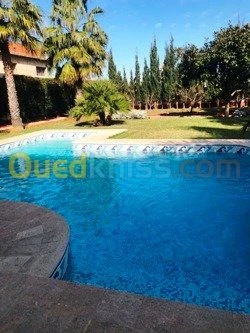 Location Villa Alger Hydra