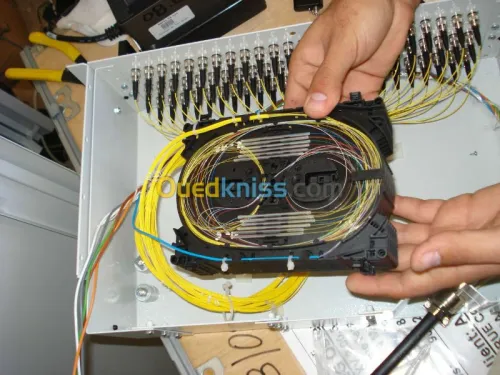 informatqiue+telecom