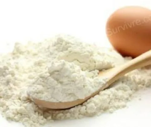 Oeuf poudre