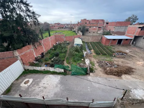 Vente Terrain Blida Guerrouaou