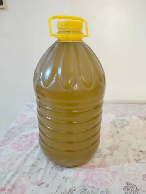 زيت الزيتون