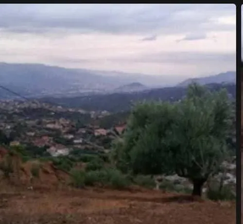Vente Terrain Béjaïa Ighil ali