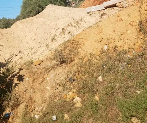 Vente Terrain Alger Saoula