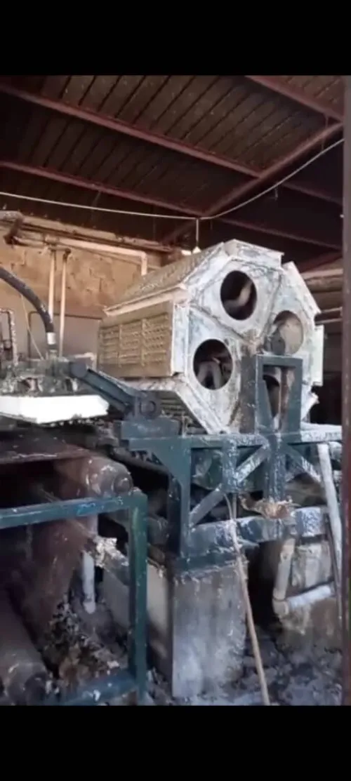 Vente machine de fabrication de Plateaux d'œufs (Alveole)